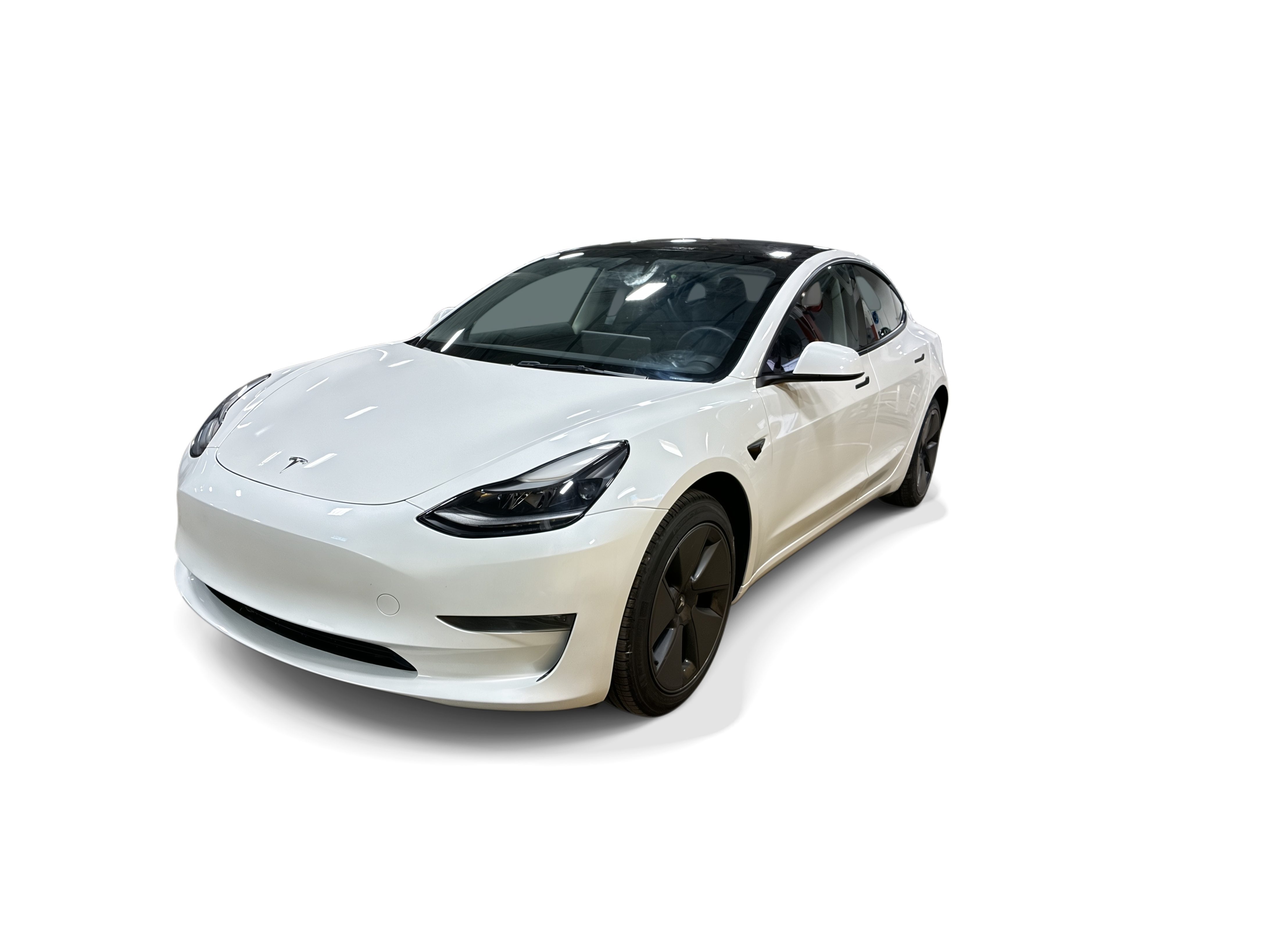 tesla model 3 2023 5YJ3E1EA0PF556908 image tesla model 3 2023 5YJ3E1EA0PF556908 image